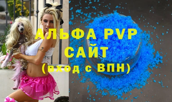 дживик Абаза