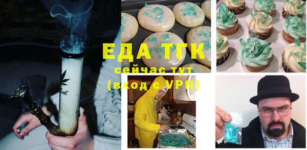 индика Алексин