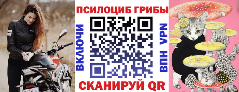 Галлюциногенные грибы мицелий  купить наркоту  Старая Русса 